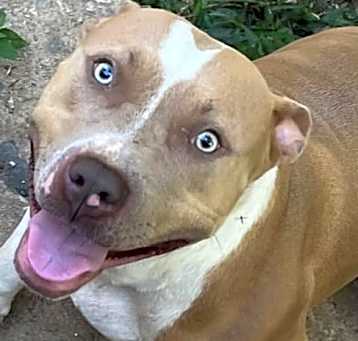 Photo of Lola