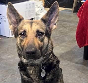 Photo of Bryn