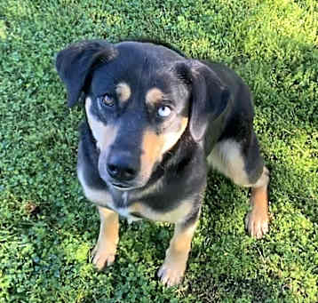 Photo of Harper