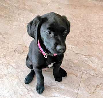 Photo of Maggie Mae