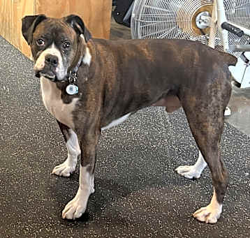 Photo of Bronx