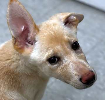 Photo of Cassie
