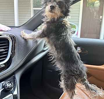 Photo of Oscar