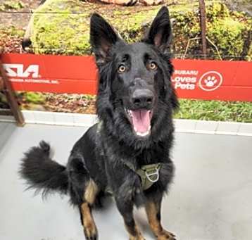 Photo of Duke