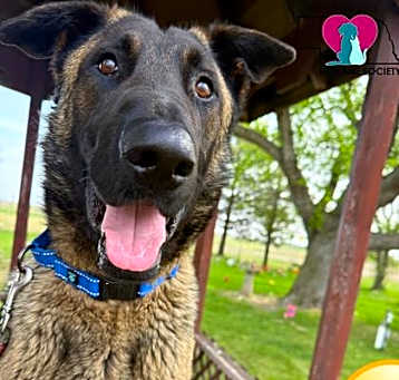 Photo of Benjamin Malinoid
