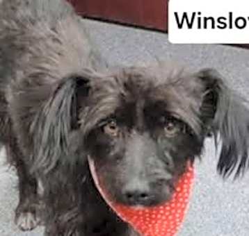 Photo of Winslow