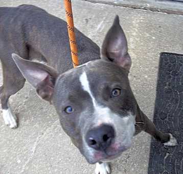 Photo of ARCHIE