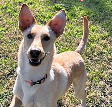 Photo of Rayne