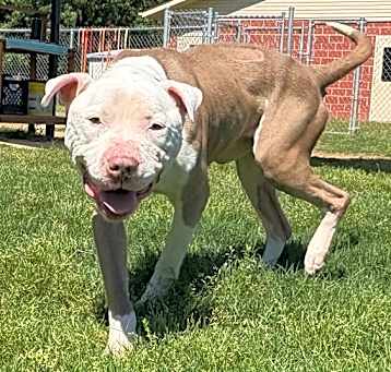 Photo of (Found) Zeus