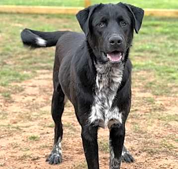 Photo of Hershey