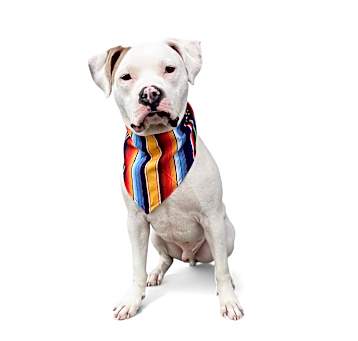 Photo of Champ-ADOPT Me!