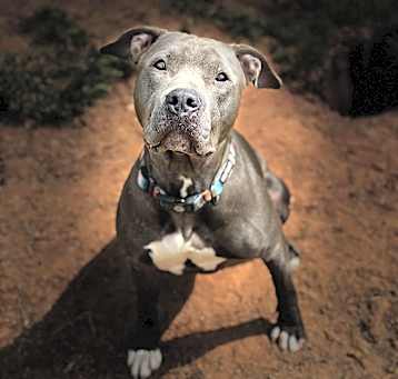 Photo of Daisy