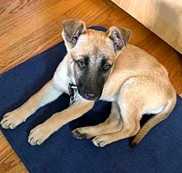 Photo of **AVERY**