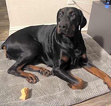 Photo of Nyla Mae