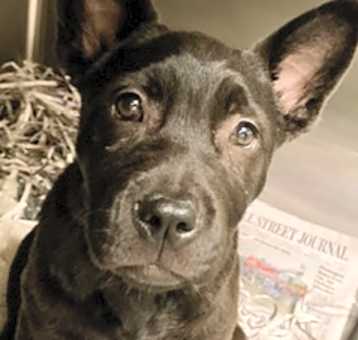 Photo of Tofu