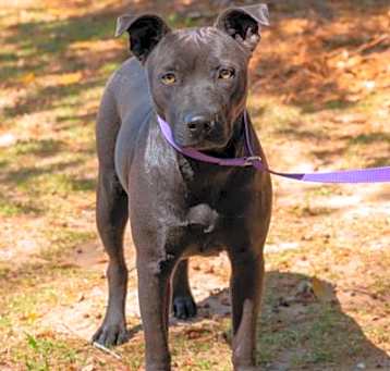 Photo of BAMA