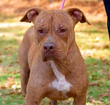 Photo of GUMBO