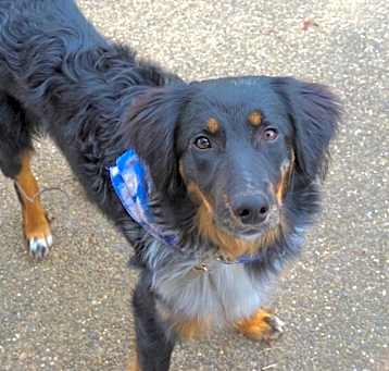 Photo of Zuko