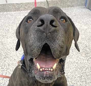 Photo of Zeus
