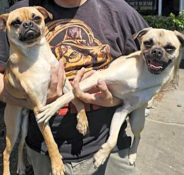Photo of Moe and Dillon