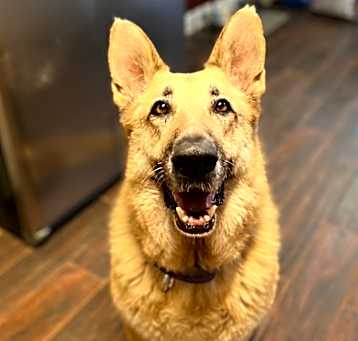 Photo of Remi 