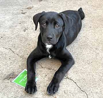 Photo of Kerel