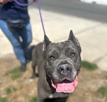 Photo of Thor