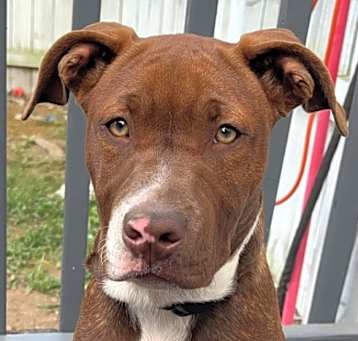 Photo of OLIVER