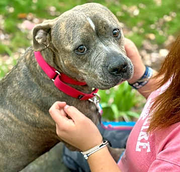 Photo of Bella (Mall of NH)