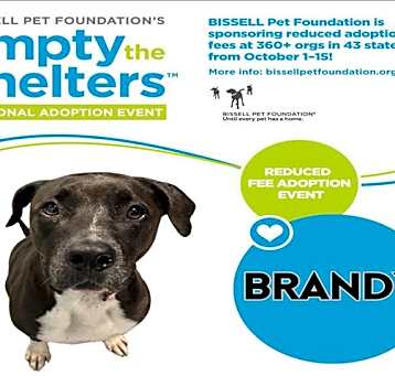 Photo of BRANDY