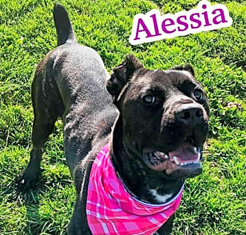 Photo of Alessia
