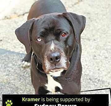 Photo of Kramer