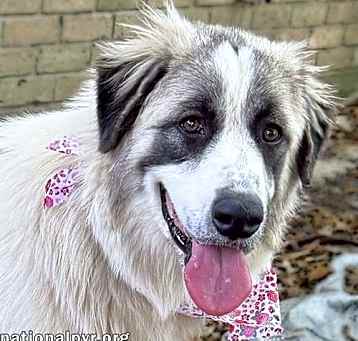 Photo of Bonnie in LA - Super Sweet & Loves Everyone!