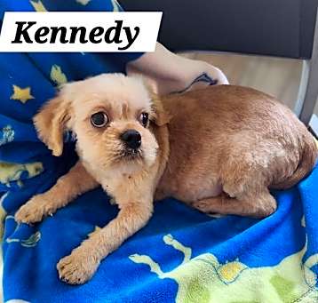 Photo of Kennedy