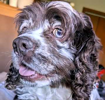 Photo of Betsy