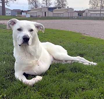 Photo of Lucas
