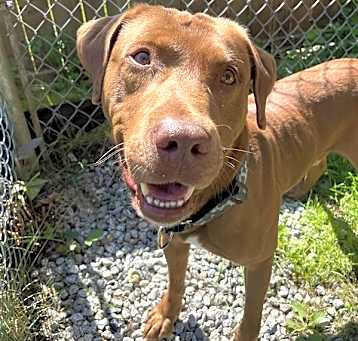 Photo of Hemi