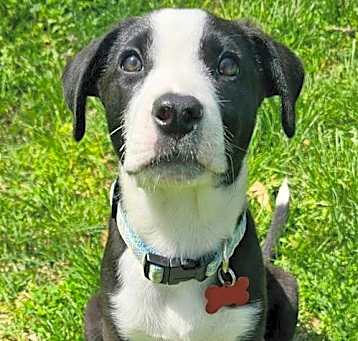 Photo of Bronx