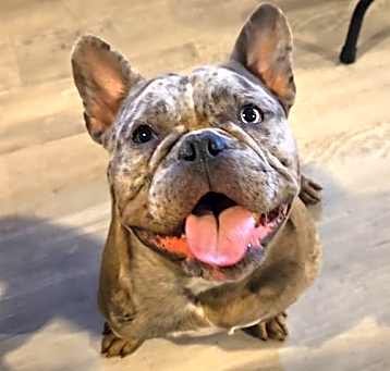 Photo of Melvin