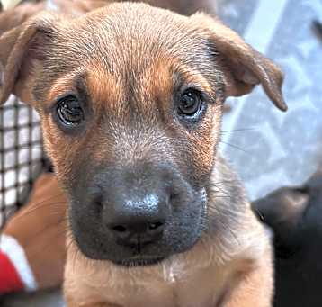 Photo of Talia