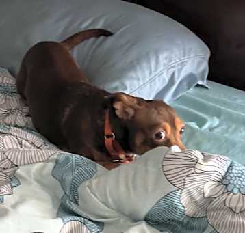 Photo of Oakley
