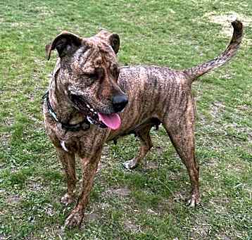 Photo of Lexie