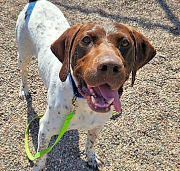 Photo of Duke