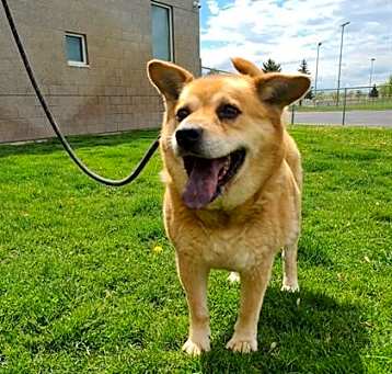 Photo of RUBY