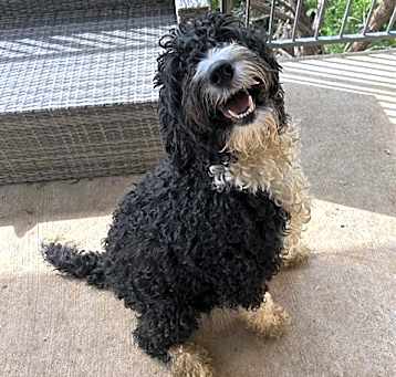 Photo of DAISY