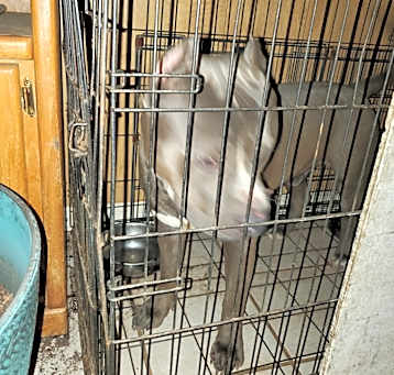 Photo of Kilo