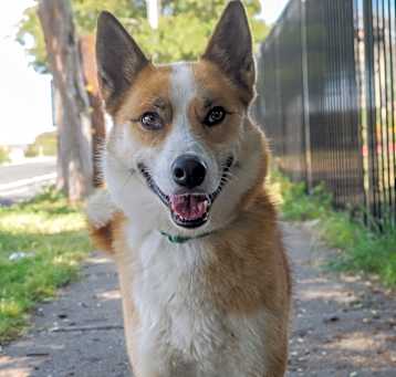 Photo of DUKE
