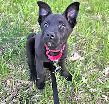 Photo of Asher