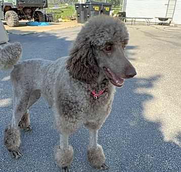 Photo of Holly