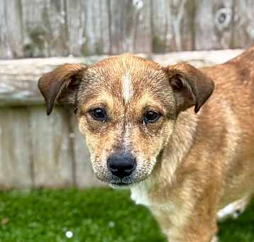 Photo of Gus (Mall of NH)